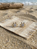Arete Cangrejo