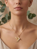 Conjunto Colibrí